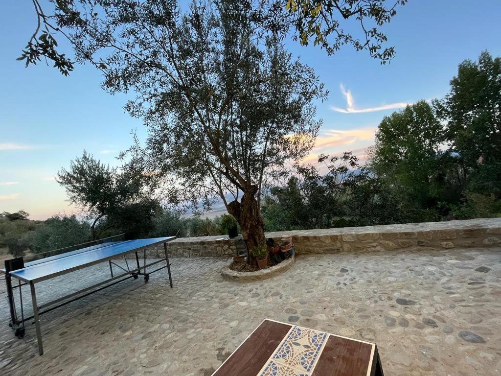 Casa De Campo Fuencaliente, Entorno Natural, Chimenea, Piscina Каньете-ла-Реаль Экстерьер фото